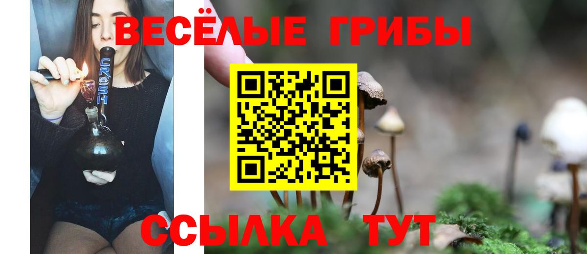 Омск  Псилоцибиновые грибы GOLDEN TEACHER  Вход с VPN 